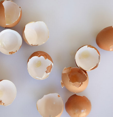 Using Eggshells